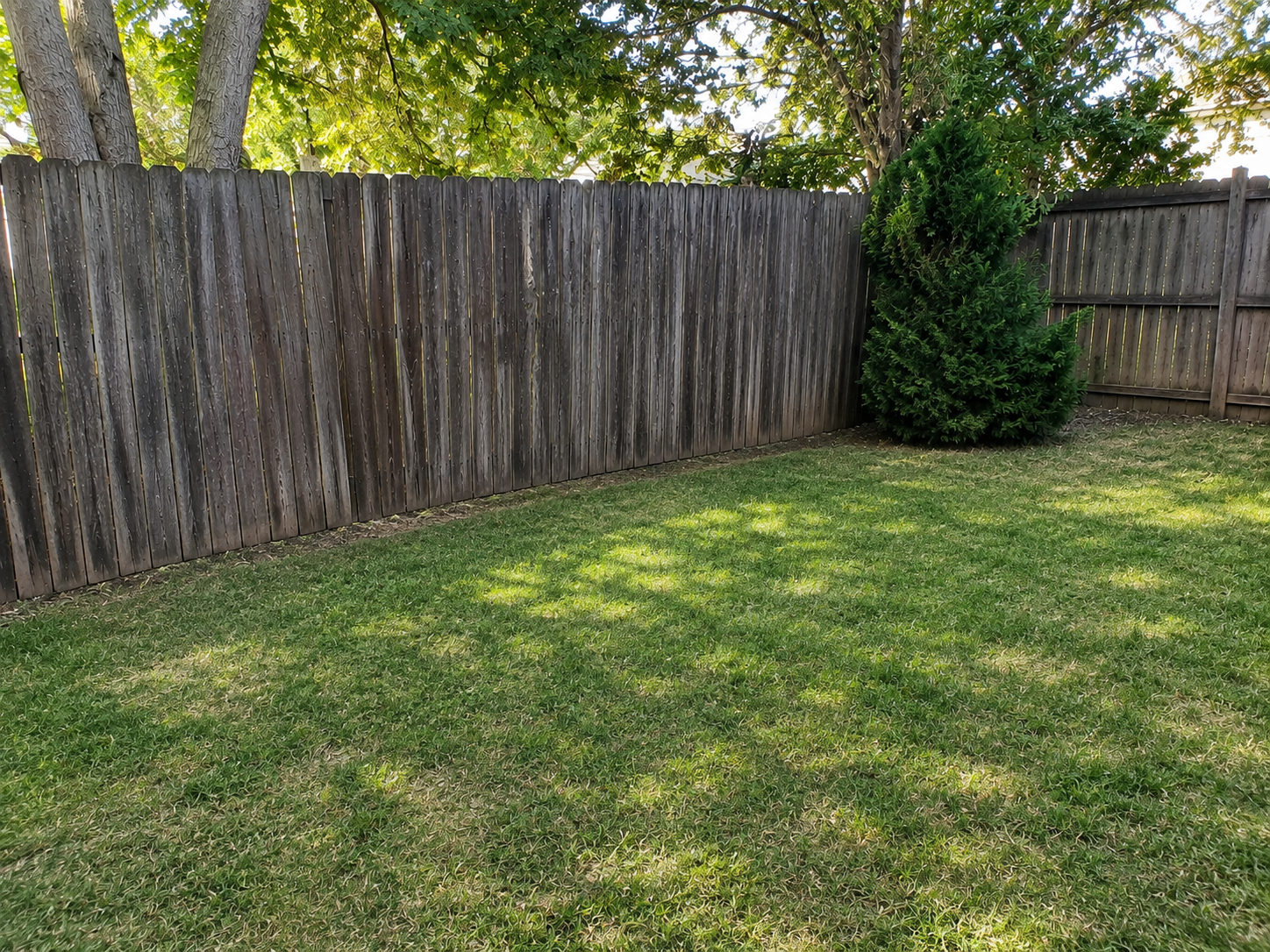 Clear backyard after yard debris removal